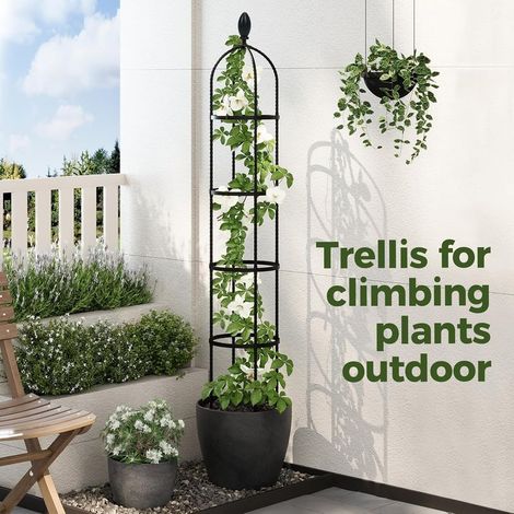 Obelisk-Gartenspalier 175 cm – Rostbeständige Metallstütze für Kletterpflanzen – Werkzeuglose Montage – Mattschwarze Oberfläche (1/5)