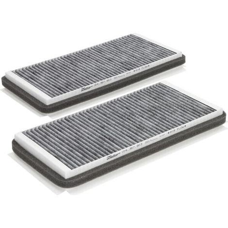 Filtro cabina carboni attivi ZETOR 10436790201 (1/2)