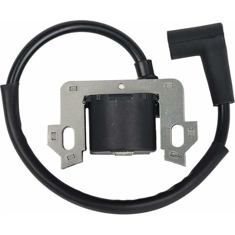 Module de bobine d'allumage compatible avec Honda GCV135 GCV160 GCV190 GSV160 (1/4)