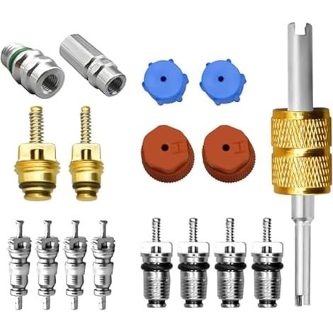 Kit de 17 inserts de valve de climatisation pour R12 R134a, kit de noyau de valve AC avec joints PTFE, outil de montage et capuchons de protection pour climatiseurs de voiture (1/5)