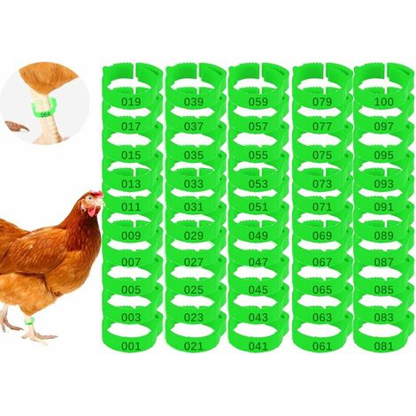 Lot de 100 Anneaux pour Pieds de Poulet avec Étiquette Numérique Boucle Bague Réglables pour Jambe de Poulet,Oiseaux,Pigeons,Pinces à Oiseaux,Chevilles,Bandes de Jambe de Caille,Bandes (vert) Lefou (1/5)