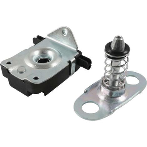 1 jeu de cylindre de verrouillage de capot 51238203859 51238229807 Compatible avec les modèles BMW X5 E53 1999-2006 (1/4)