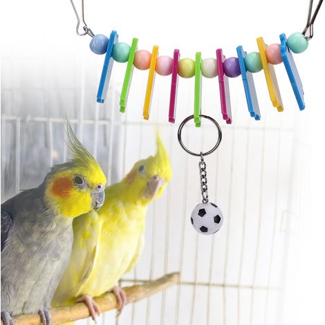 Jouet coloré en plastique et fer pour perroquet, ballon de football à mâcher et à suspendre, accessoire pour cage à oiseaux (1/5)