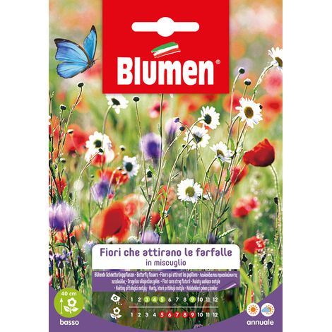 Semi Blumen fiori che attirano le farfalle