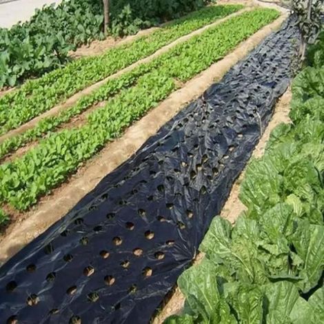 Toile Anti-mauvaises Herbes - Paillis Noir Tissé Non Tissé 100 g/m² - Pour Paysage Jardin Potager - Lot de 2 (1/3)
