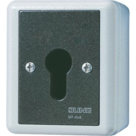 Jung Schlüsselschalter 16AX 250V 2-pol. 806.28 G (1/2)