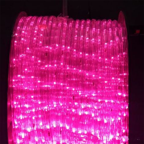 Chaîne lumineuse extérieure imperméable à l'eau LED Festival décoration néon - Rose - (24 lumières) 100m - avec prise normalement brillante
