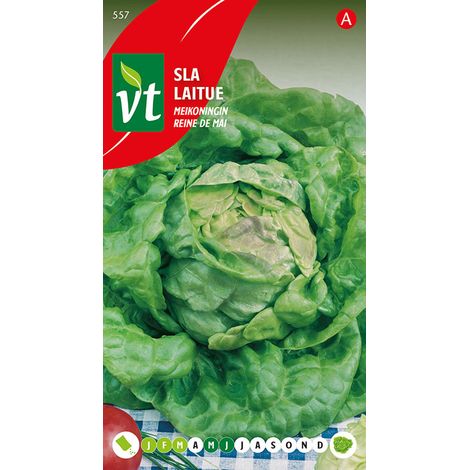 Laitue Reine De Mai - Ca. 3 gr (Livraison Gratuite) (1/2)
