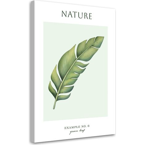 Tableau sur toile Feuille verte - Nature 60x90 (1/5)