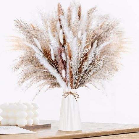 60 pampas séchées naturelles DIY, bouquet idéal déco boho salon, chambre, mariage, vases (1/5)