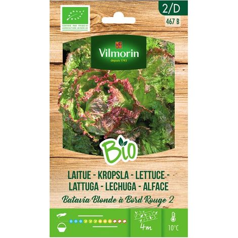 Vilmorin Garden Bio Seeds Batavia Iceberg 2 ungefhr 2 Gr