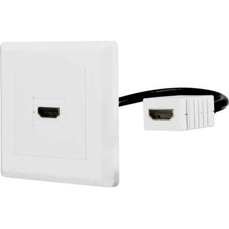 Renkforce RF-4538136 HDMI Adaptateur [1x HDMI femelle - 1x HDMI femelle] blanc contacts dorés 15.00 (1/6)