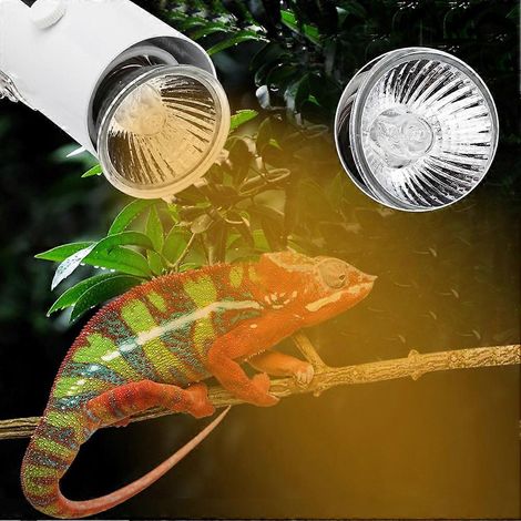 Lampe solaire à pince CN 220V pour reptiles, lampes UVA et UVB pour terrarium de tortues et lézards, blanche (1/3)