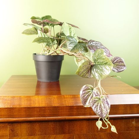 35cm Artificial Trailing Purple Potted Pothos Plant Realistic (1/5)