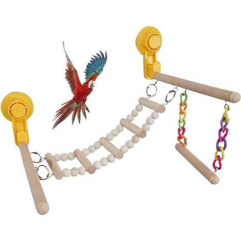Support à ventouse pour perroquets, perchoir pour branches, support pour conures et inséparables (1/4)