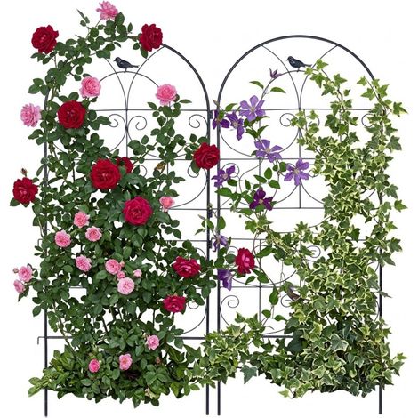 Relaxdays Griglia per rampicanti, set 2, HxB: 116 x 50 cm, metallo, supporto piante rampicanti/rose, giardino, nero