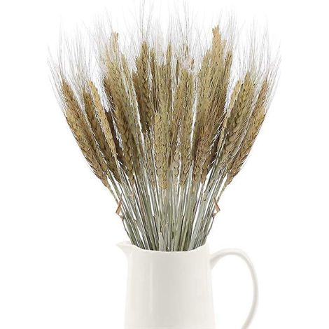 Bouquet de 100 épis de blé séchés naturels idéal pour vase table ou balcon. (1/3)