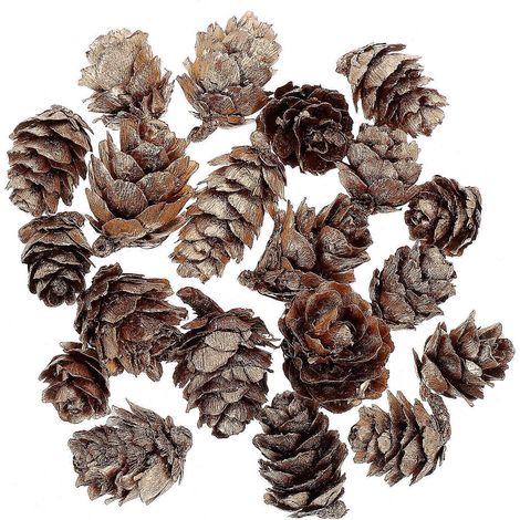 Pommes de pin décoratives pour Noël, pour loisirs créatifs (1 lot) (1/5)
