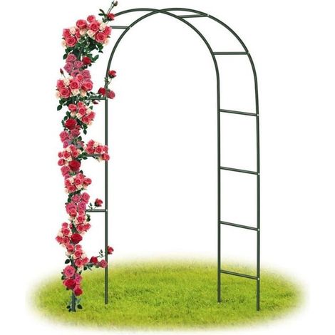 Arche Jardin/Mariage Arche Arceau à rosiers Tuteur Colonne de Jardin,240x140x38 CM/Vert (1/4)