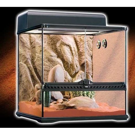 Kit de terrario desértico Exo Terra