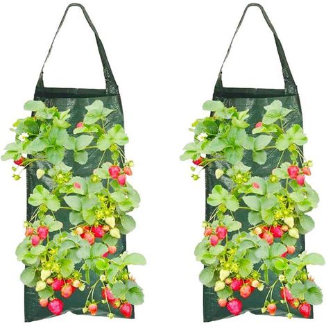 Lot de 2 sacs plantation suspendus fraises – 8 trous, respirant – Pour légumes, fleurs – Vert (1/5)