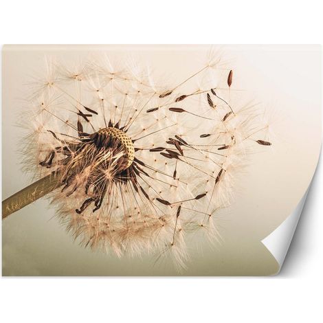 Carta Da Parati, Dente di leone beige - 150x105 (1/5)