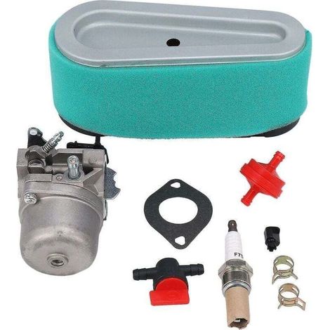 Vergaser für Briggs & Stratton Lmt 5-4993 12,5 PS Aufsitzmäher (1/5)