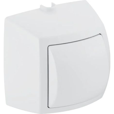 Geberit pulsante manuale per risciacquo a 1 quantità, per comando WC con azionamento pneumatico: L=10.9cm, placca, corpo: cromo / lucido, tasto: cromo / spazzolato, 240570KA1