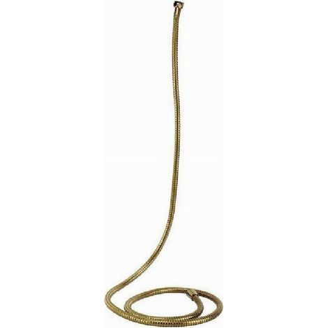 Tub Laccio Flessible Doccetta Vasca Bagno 2 Mt Universale 59536 Dorato (1/2)