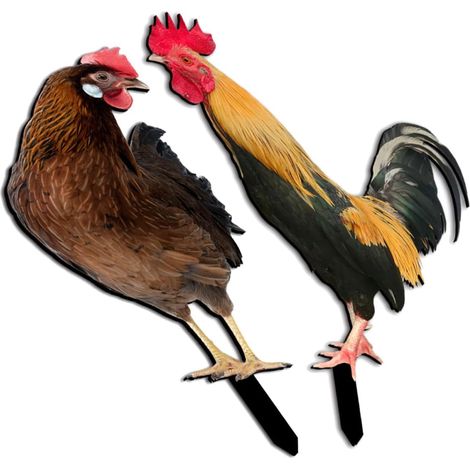 2 Stück Garten Hühnerpfähle aus langlebigem Acryl Dekorative