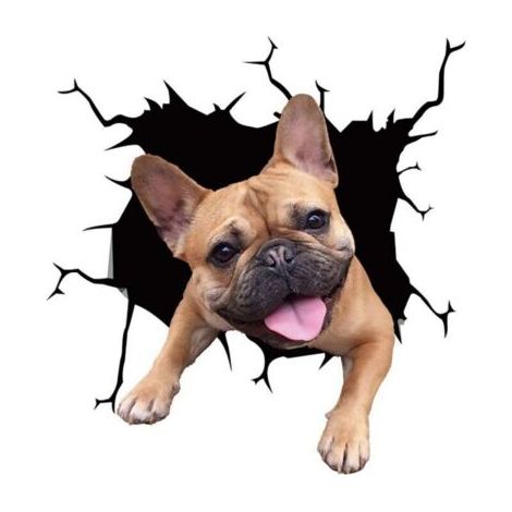 (20cmx20cm)4 PCS Chien Autocollants De Voiture, 3D Labrador Stickers Voiture Autocollants Personnalisés Drôle Bouledogue Français Autocollants De Voiture Réaliste Chien Vinyle Autocollant De Fenêtre