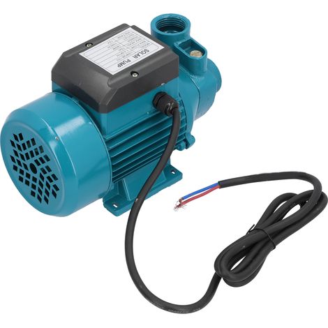 Pompe Ă eau unipolaire Ă turbine, outil d'irrigation Ă aspiration simple horizontale, 15 m, 180 W, 12 V CC (1/5)