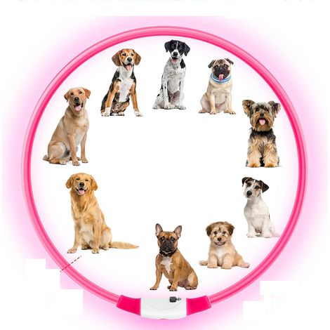 Collar para mascotas AUAUY con luz LED, recargable por USB, recortable, resistente al agua, ajustable, para gatos y perros pequeños, medianos y grandes (rosa).