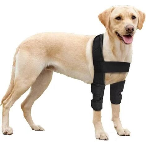 PA Ellenbogenstütze für Hunde für Schultern, Vorderbeine, Verrenkungen, Druckstellen, Verletzungen, Arthritis, Stabilitätsverlust (S) (1/5)