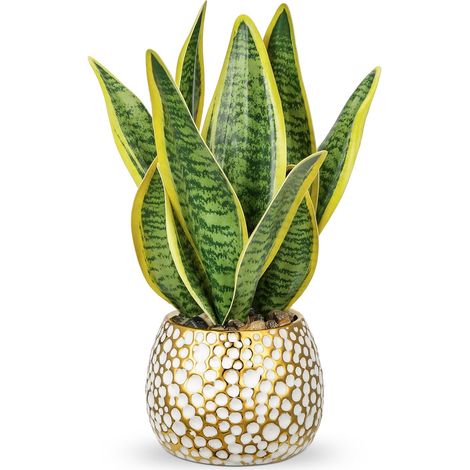Sansevieria Plante artificielle en céramique dorée 31 cm Petite plante d'intérieur Plante serpent artificielle Plante artificielle Plantes artificielles comme vraies Plantes artificielles Parfait pour (1/5)