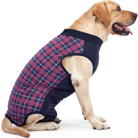 Abbigliamento per la protezione del corpo dei cani, abbigliamento per la convalescenza degli animali domestici, magliette, abbigliamento per cani dopo un intervento chirurgico (S) (1/5)