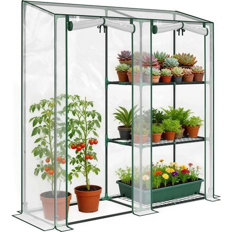 Serre da giardino con scaffali a 3 livelli, piccola serra in telo PVC e telaio in acciaio, 2 porte scorrevoli, trasparente (1/5)