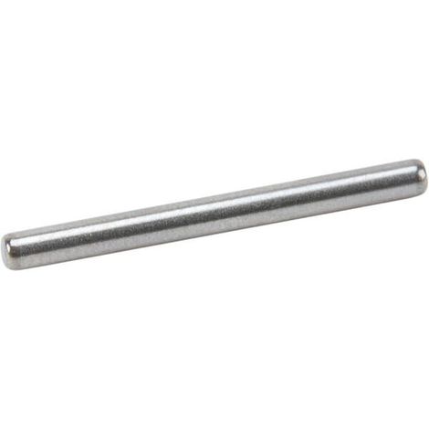 Perno de bisagra Briggs et Stratton - 590558