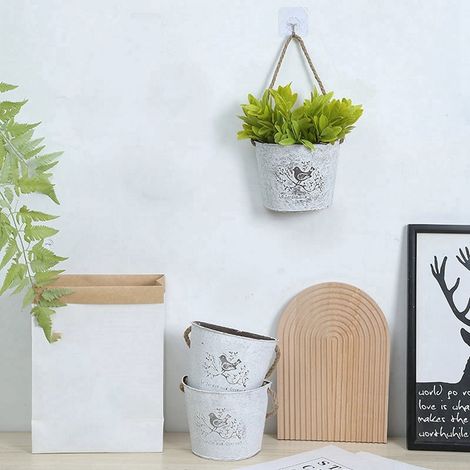 Suspension Murale - Jardinière Métallique pour Plantes - Contenant à Suspension pour Succulentes et Fleurs - Idéal Balcon, Terrasse, Intérieur - 1 Pièce (1/3)