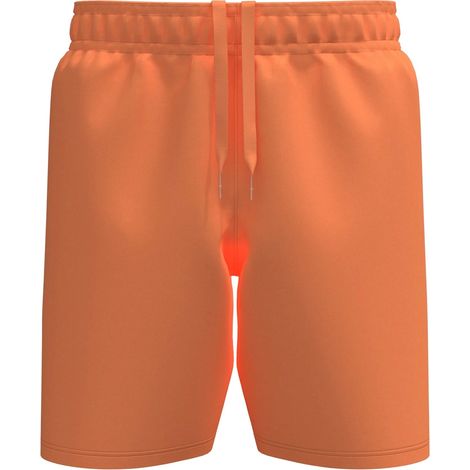 Pantalones cortos Under Armour Tech Woven Wordmark L