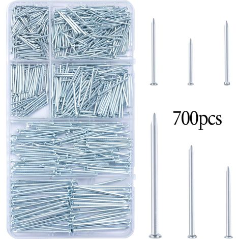 Kit de 700 petits clous en fer (zinc bleu et blanc), boîte de rangement pour clous de suspension (1/3)
