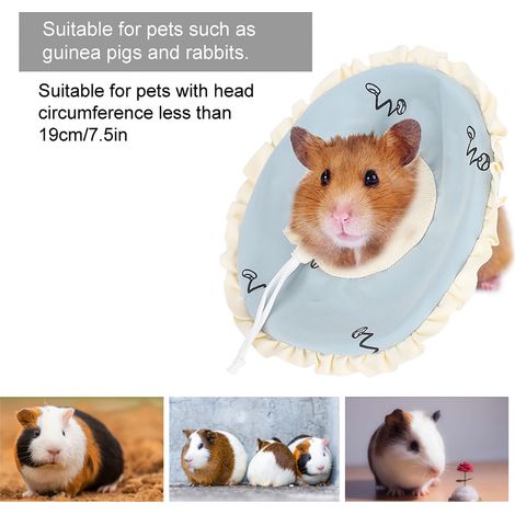 Collier de protection pour petit animal de compagnie, anneau d'allaitement circulaire Elizabeth pour cochon d'inde, lapin, planeur de sucre (1/5)