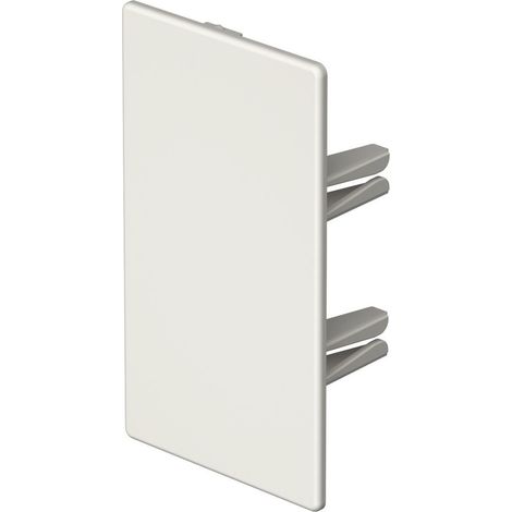 OBO Bettermann Endstück halogenfrei 60x110mm Polycarbonat/Acrylnitril-Butadien-Styrol reinweiß RAL 9010, 6175566