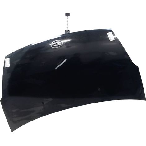 Capot Daihatsu Sirion 2000- [PRODUIT D'OCCASION]♻️53301b1021 (1/2)