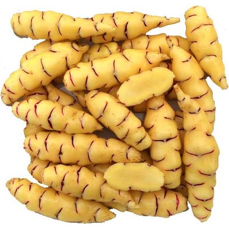OCA DEL PERU' OSSALIDE MERLATA (CONFEZIONE DA 5 TUBERI)