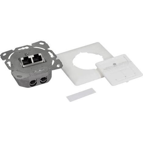 Prise réseau - LOGILINK - Cat.6A - 2 x RJ45 blindée - Blanc Signal