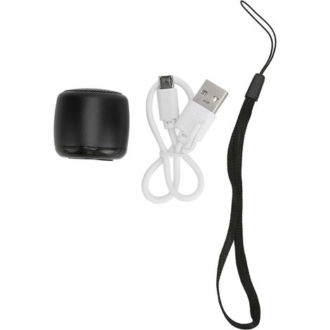 Enceinte Bluetooth Mini avec Subwoofer Puissant, Rechargeable USB, Portable Métallique pour Téléphone, Tablette, PC - Noir (1/5)