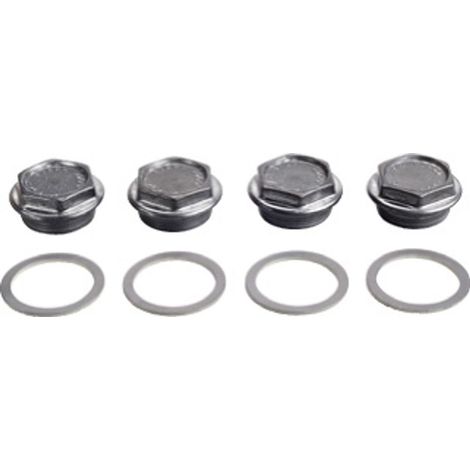 Bosch Tappo di chiusura G 1 1/2 pollice (4 pezzi), 8718544963