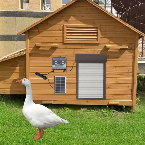 Automatische Hühnerklappe Solar Elektrische Hühnertür Rolltor mit LCD Display, Fernbedienung, Solarbetrieb, Lichtsensor, Timer 4 Modi für Geflügel Braun (1/5)