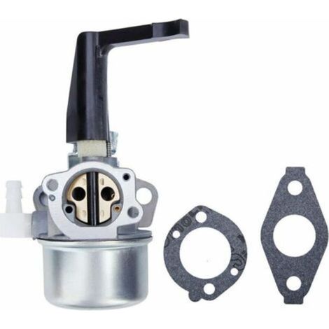 696065 697422 Carburateur avec joint de montage adapté pour Briggs & Stratton 110402 110412 215369 Moteur de motoculteur Carb Rototiller Troy Générateur Intek Moteur 696065 697422 696065 697422 (1/4)